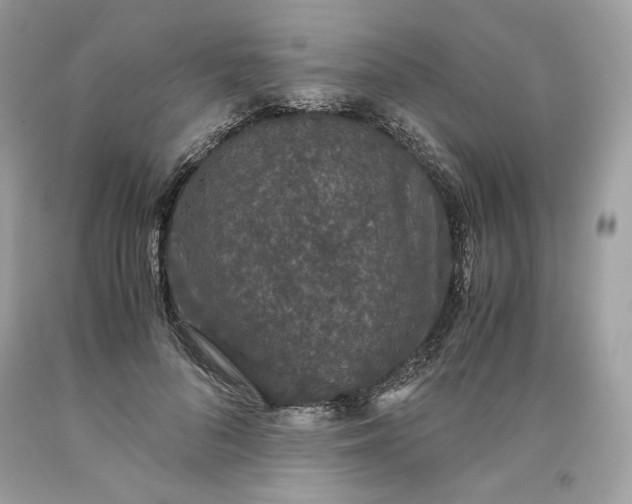 X0000093530696200710261252