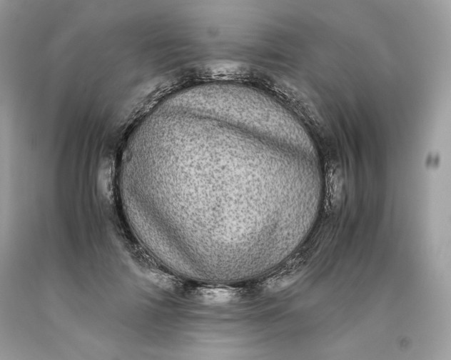 X0000093530698200710261252