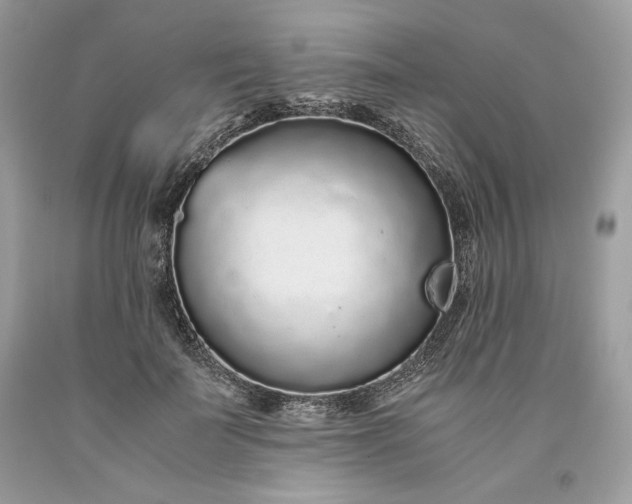 X0000093530699200710261252