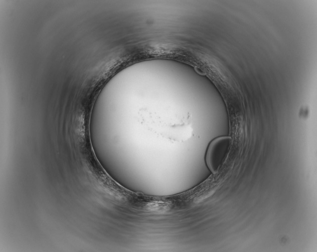 X0000093530700200710261252