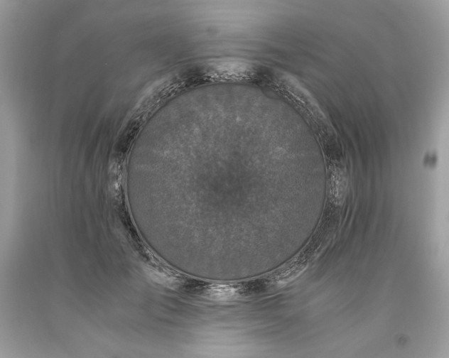 X0000093530701200710261252