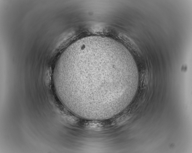 X0000093530702200710261252