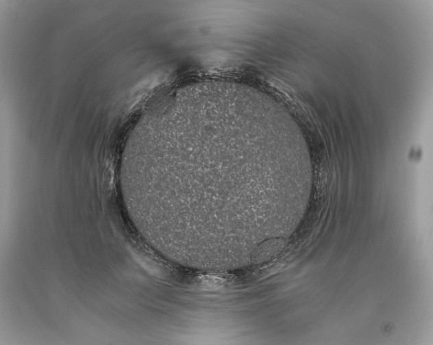 X0000093530703200710261252