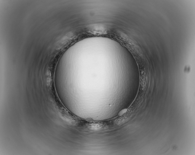 X0000093530704200710261251