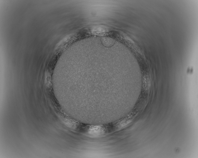 X0000093530705200710261251