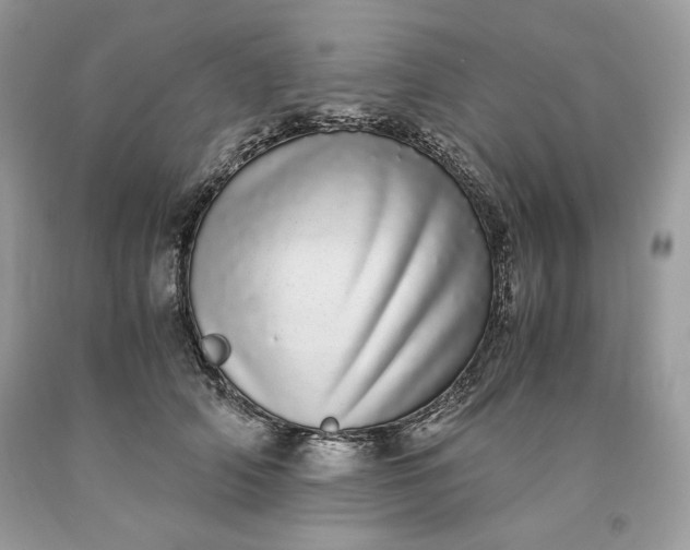 X0000093530706200710261251