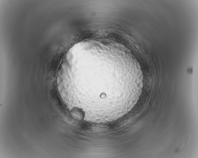 X0000093530707200710261251