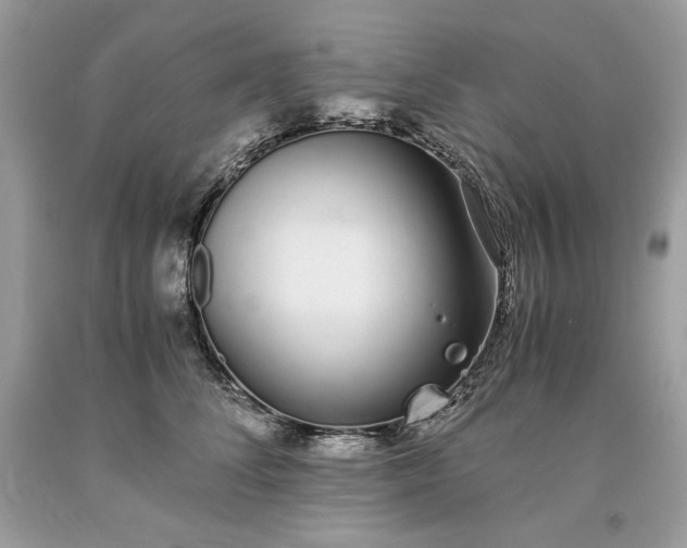 X0000093530708200710261251