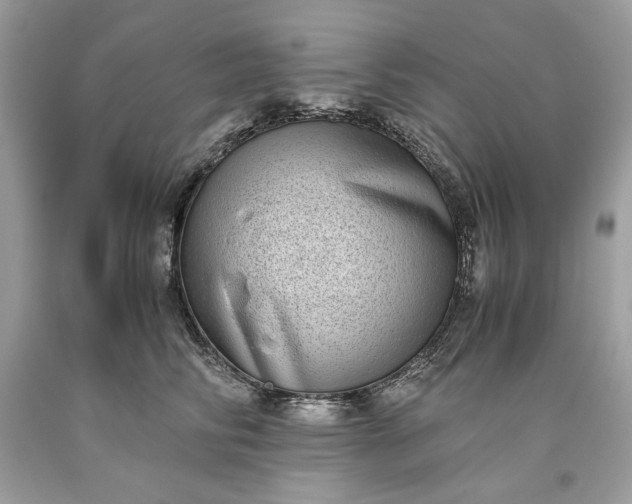 X0000093530710200710261251