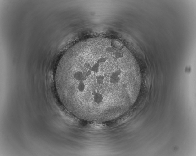 X0000093530711200710261251