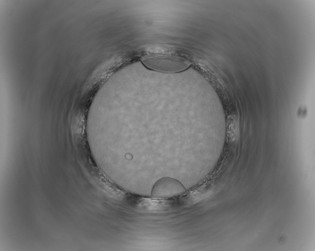 X0000093530713200710261251