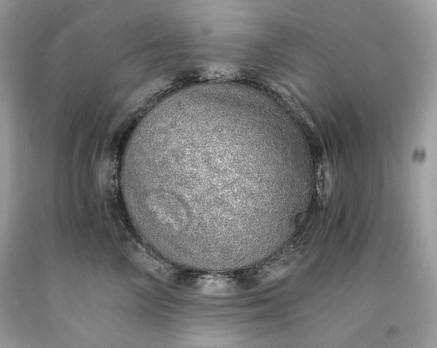 X0000093530714200710261251