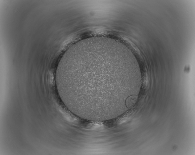 X0000093530715200710261251