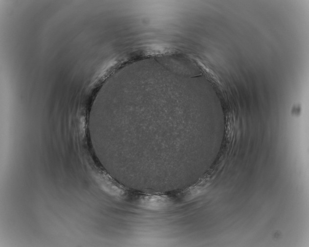 X0000093530716200710261251