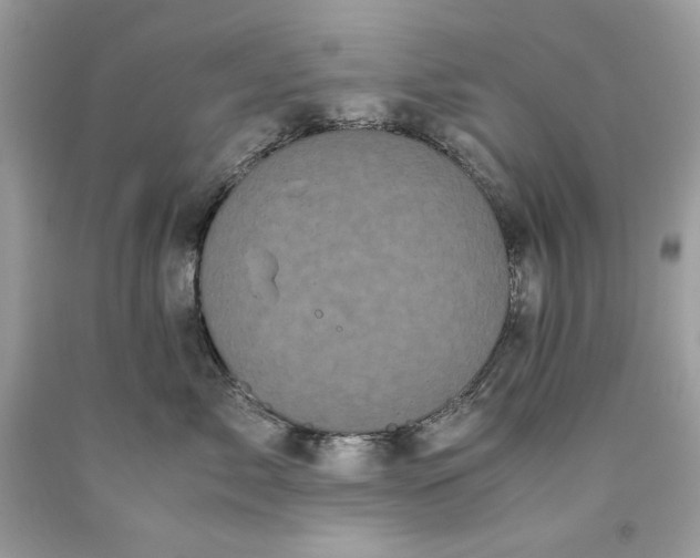 X0000093530717200710261251