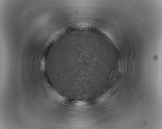 X0000093530718200710261251