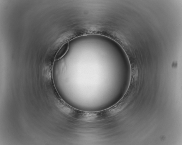 X0000093530719200710261251