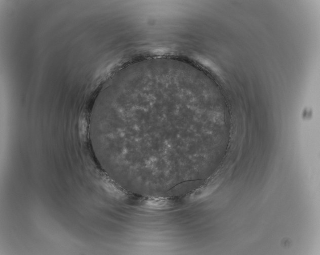 X0000093530720200710261251