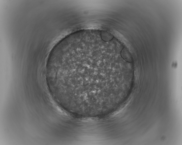 X0000093530721200710261251