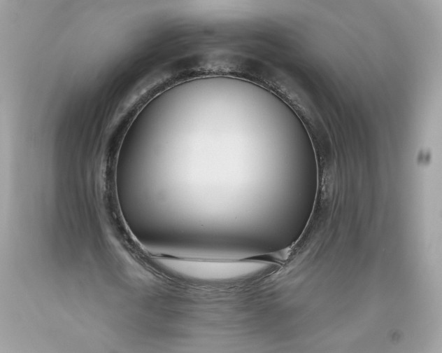 X0000093530722200710261251