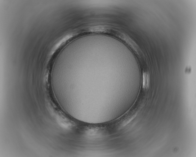 X0000093530723200710261251