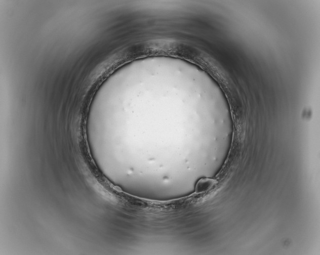 X0000093530725200710261251