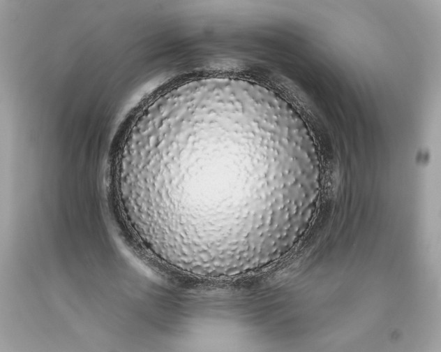 X0000093530726200710261251