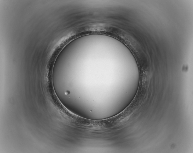 X0000093530727200710261251