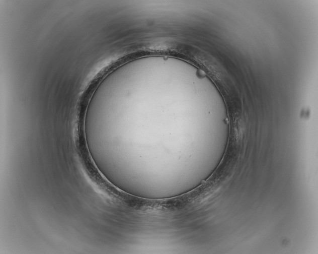 X0000093530728200710261251