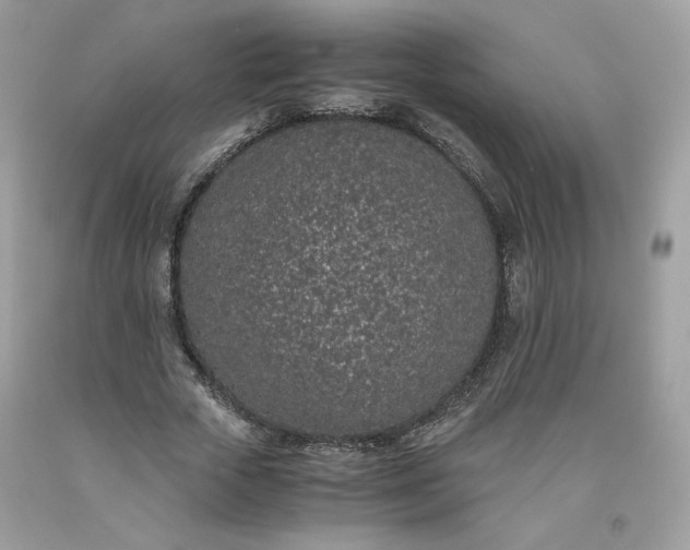 X0000093530729200710261251