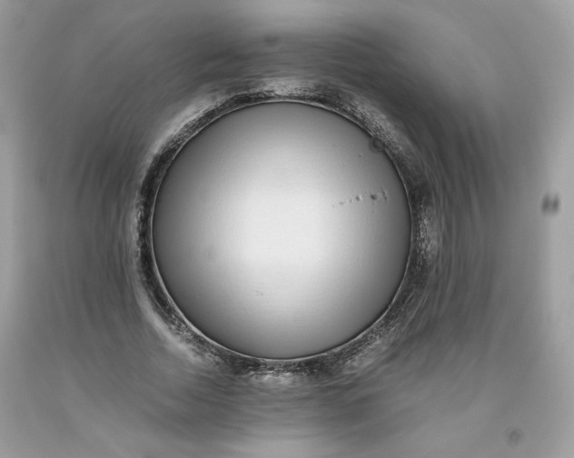 X0000093530730200710261251