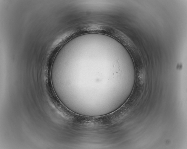 X0000093530732200710261251