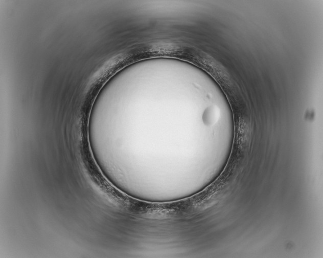 X0000093530734200710261251