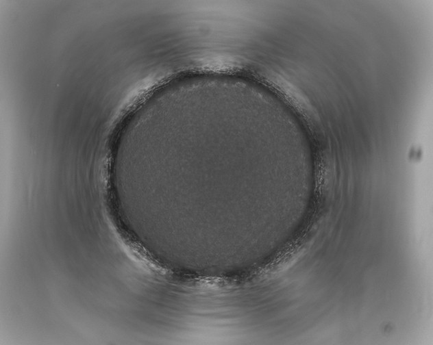 X0000093530736200710261251