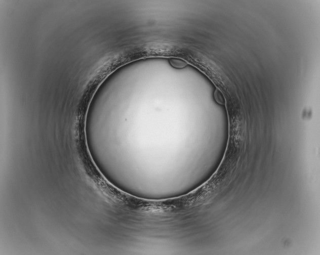 X0000093530738200710261251