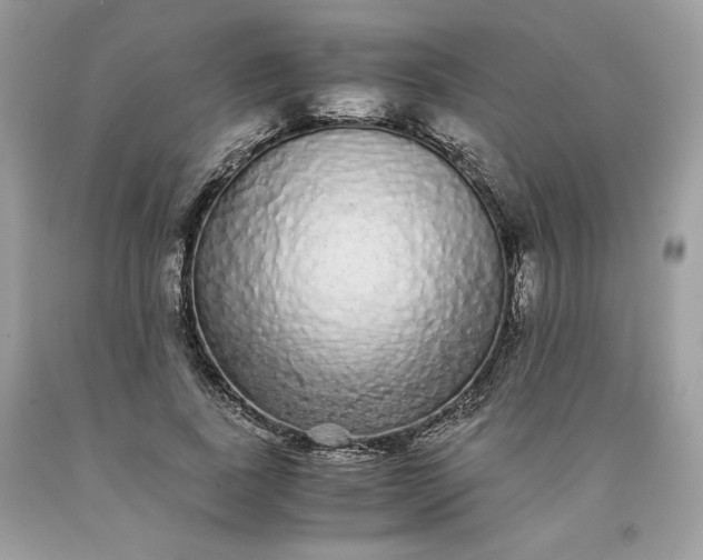 X0000093530739200710261251