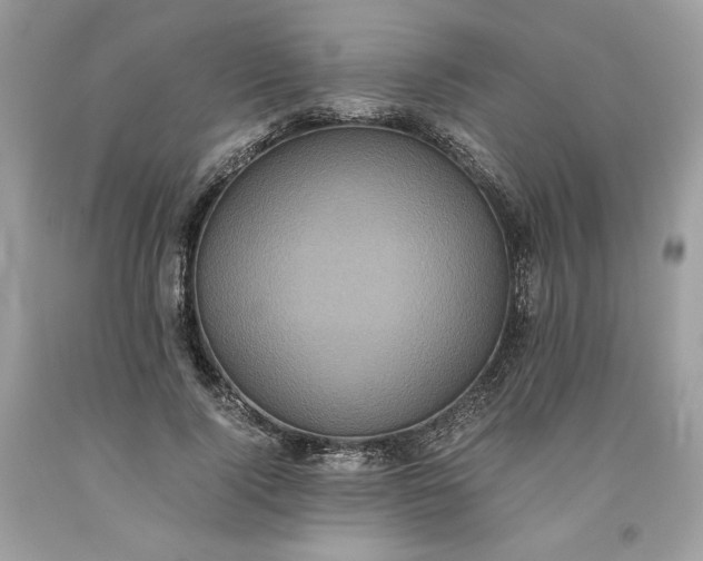 X0000093530740200710261251