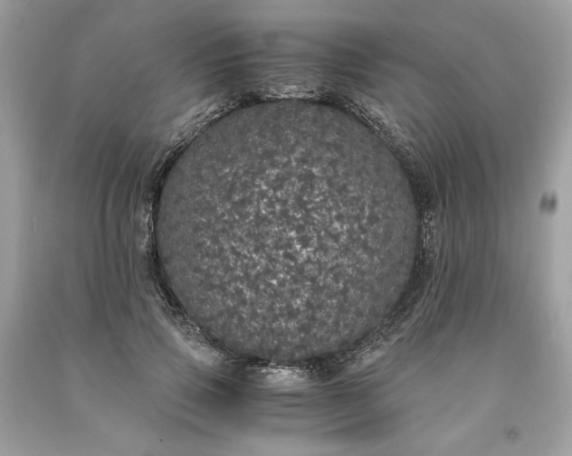 X0000093530741200710261251