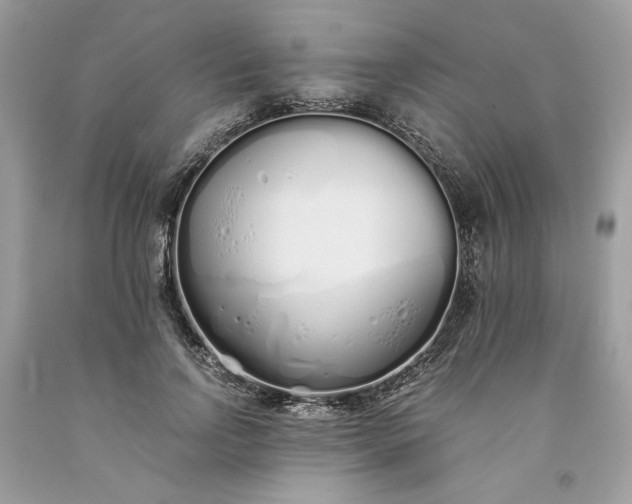 X0000093530742200710261251