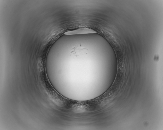 X0000093530743200710261251