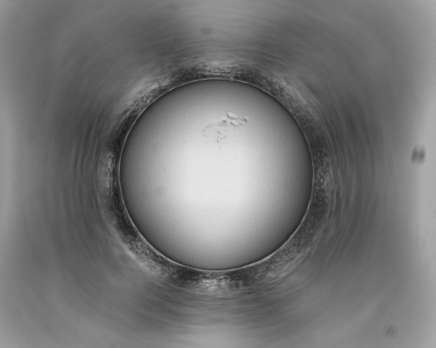 X0000093530744200710261251