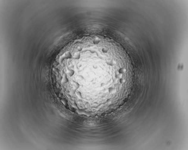 X0000093530745200710261251