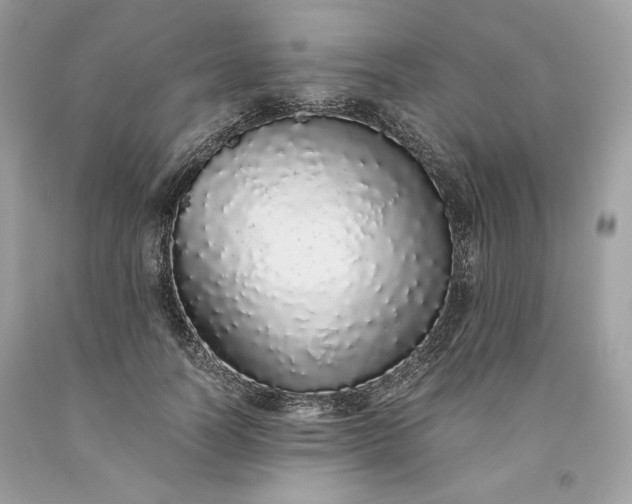 X0000093530746200710261251