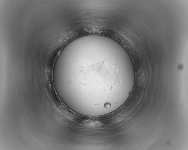 X0000093530747200710261251