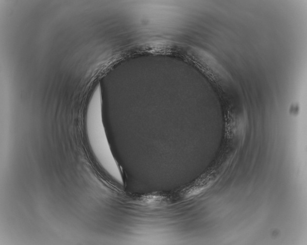 X0000093530748200710261251