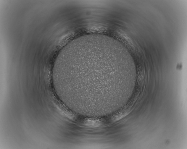 X0000093530749200710261251