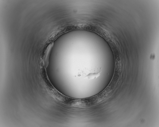 X0000093530750200710261251