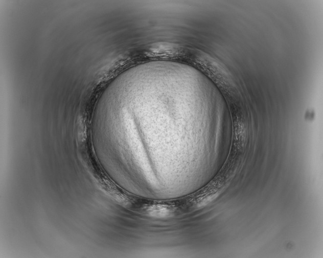 X0000093530751200710261251