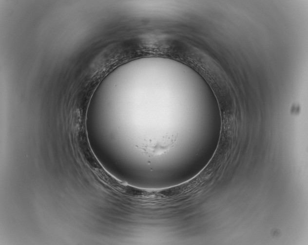 X0000093530752200710261251