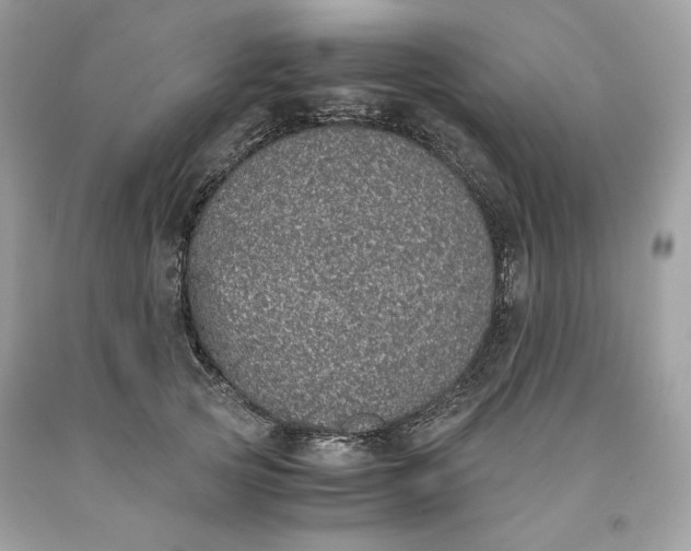 X0000093530753200710261251